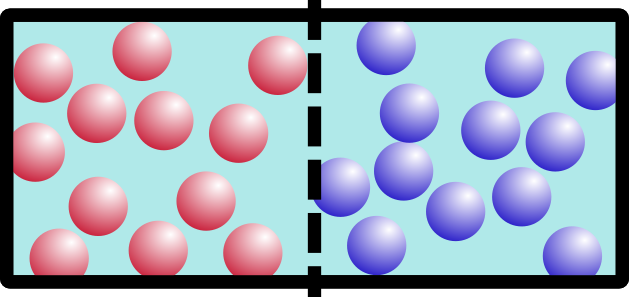 The graphic is as before: red and blue balls floating in water, separated from each other by a barrier. The barrier, however, is now represented by a dashed line.