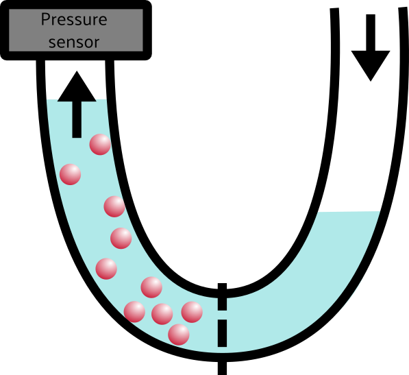 A tube shaped like the letter U is shown. At the top left of the tube is a grey rectangle labelled "pressure sensor." A semi-permeable membrane is indicated with a dashed line at the bottom center of the U. The left side of the tube has red balls in it, the right side has none. Arrows indicate the flow of water: the right side has an arrow pointing downward and less water; the left side has more water and an arrow pointing up.